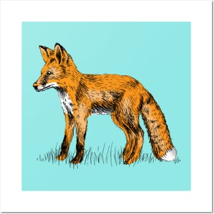 Fox Print Posters and Art